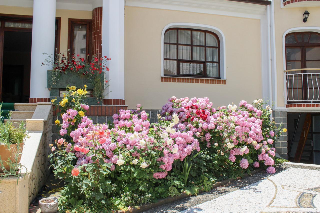 Vila Topciu Pogradec Exteriér fotografie